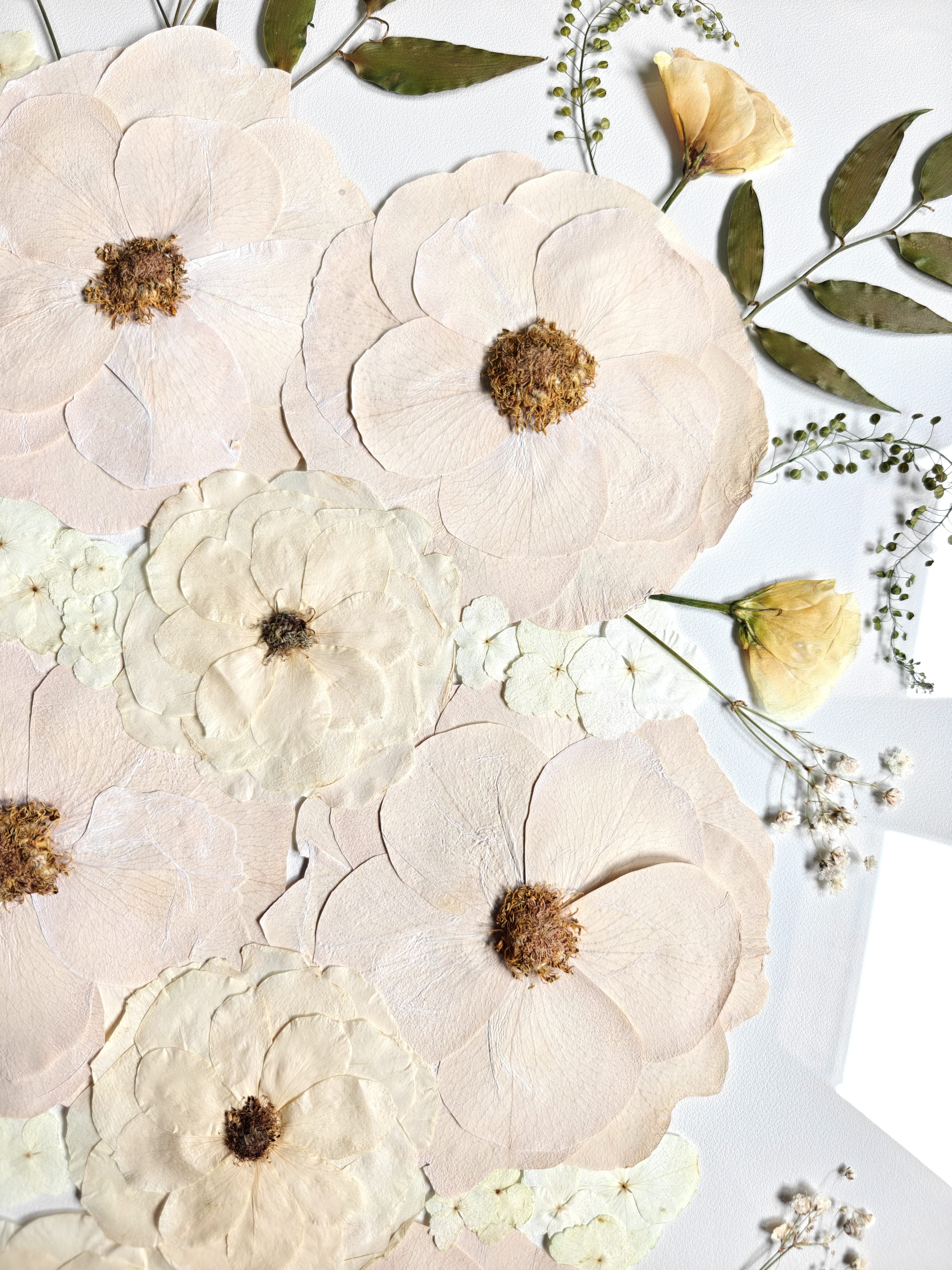 Composição artística de flores prensadas dentro de moldura