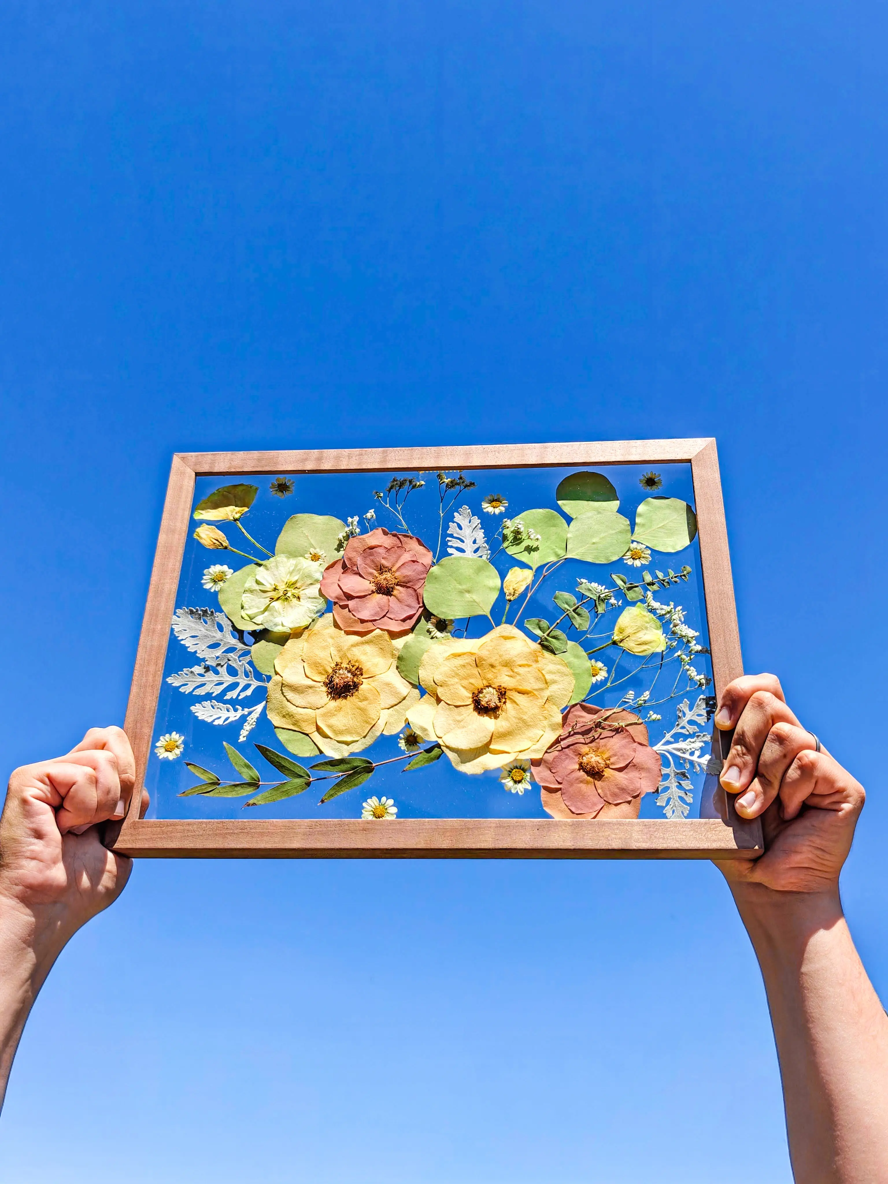 Quadro de flores prensadas em vidro sobre vidro com efeito transparente