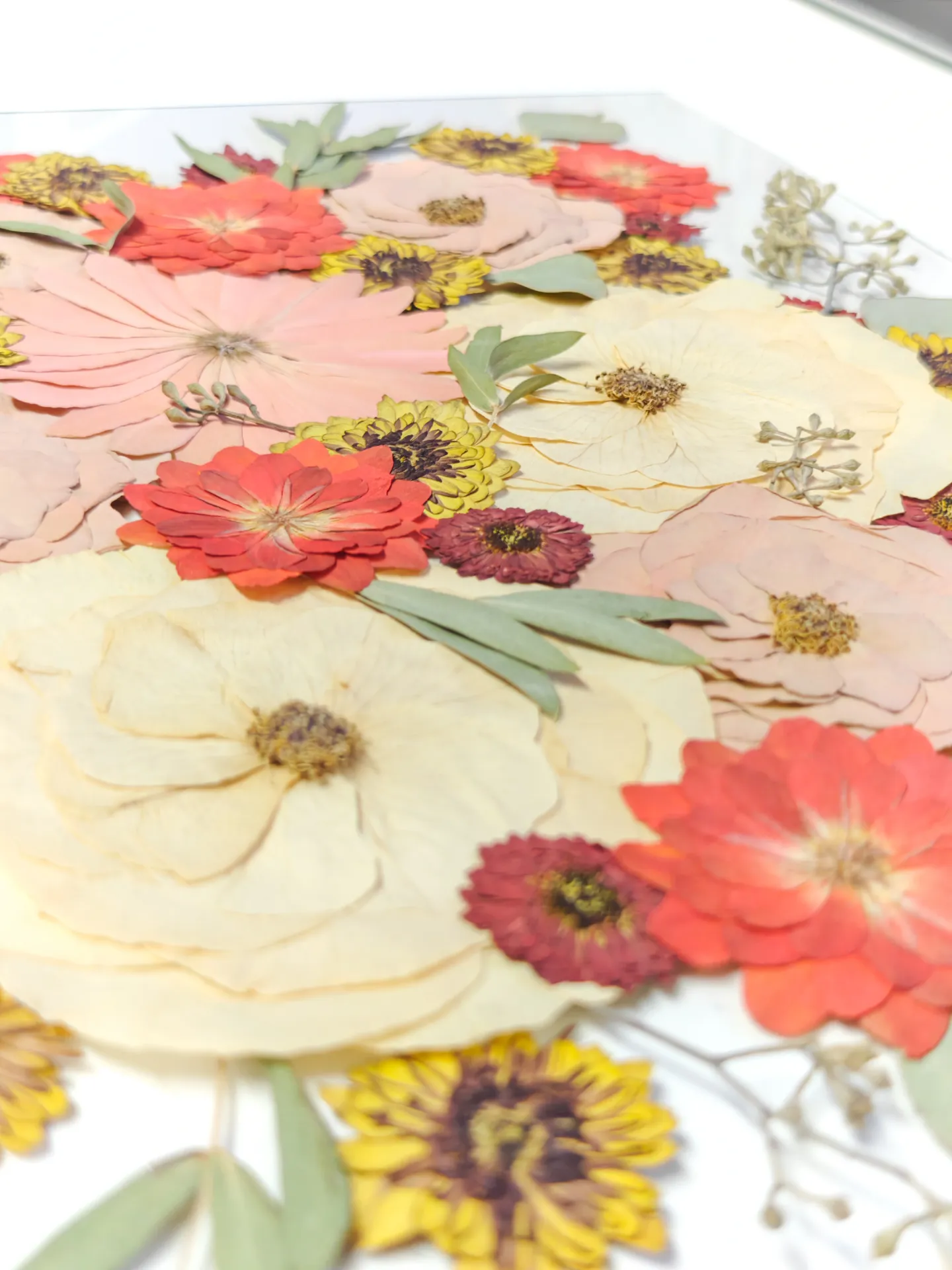 Quadro de flores de aniversário preservadas, em tons vivos de coral e amarelo