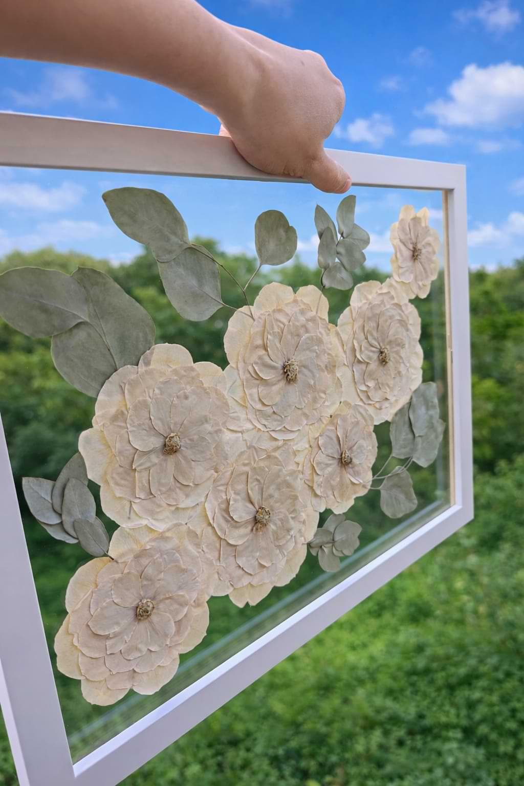 Quadro de flores brancas preservadas entre dois vidros, erguido contra o céu