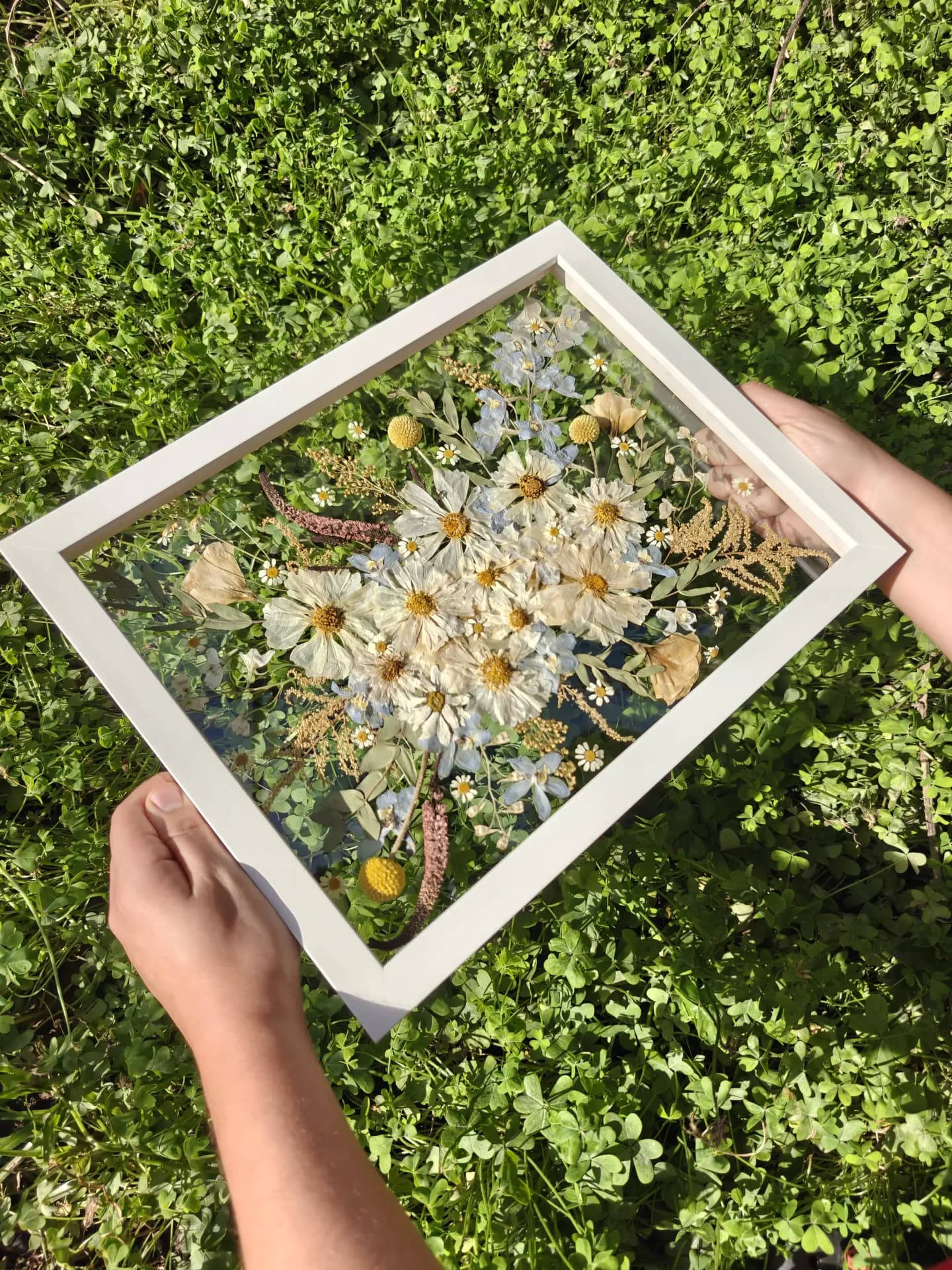 Quadro de flores prensadas emoldurado com vidro museu anti-UV